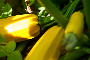 Similar image 2650961