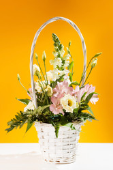 Similar image 2650965