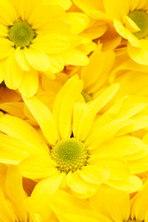 Similar image 2650969