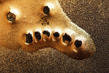 Similar image 2651023