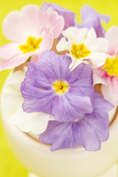 Similar image 2651073