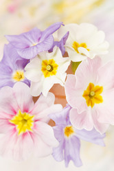 Similar image 2651074