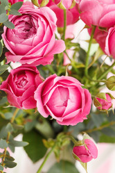 Similar image 2651088