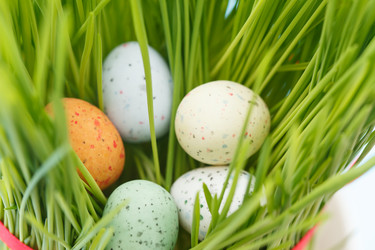 Similar image 2651094