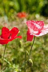 Similar image 2651125