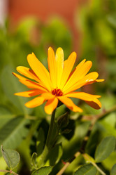 Similar image 2651128