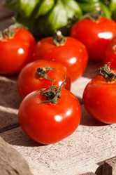 Similar image 2651144