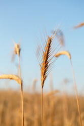 Similar image 2651194