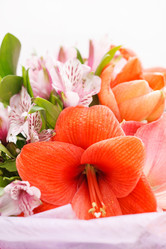 Similar image 2651197