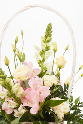 Similar image 2651209