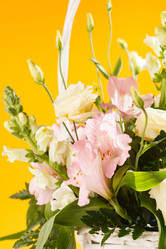 Similar image 2651210