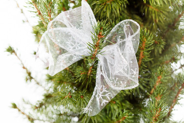 Similar image 2651212