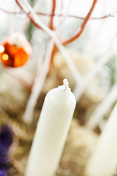 Similar image 2651215