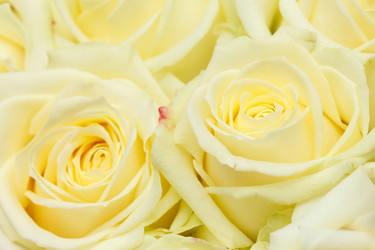 Similar image 2651217