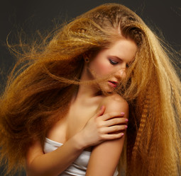 Similar image 2651431