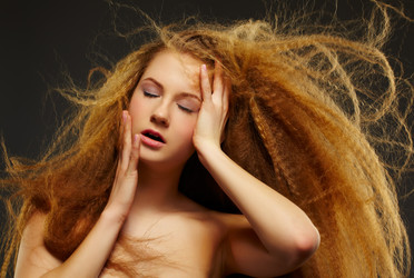 Similar image 2651452