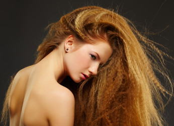 Similar image 2651453