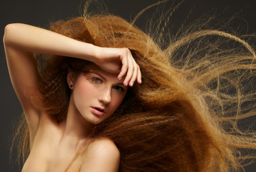 Similar image 2651461