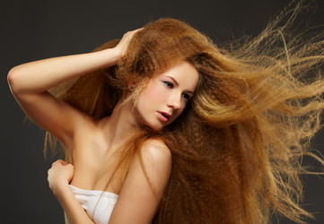 Similar image 2651462