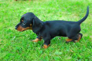 Similar image 2651791