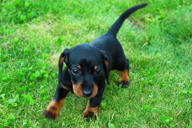 Similar image 2651793