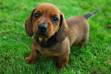 Similar image 2651796