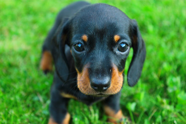 Similar image 2651797