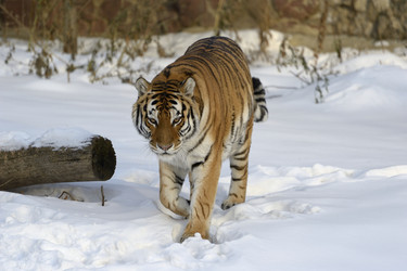 Similar image 2660388