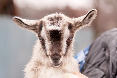 Similar image 2660449