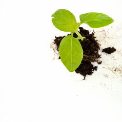 Similar image 2660800