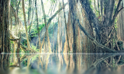 Similar image 2661320