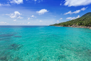 Similar image 2662019