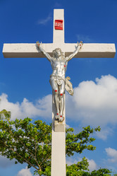 Similar image 2662021