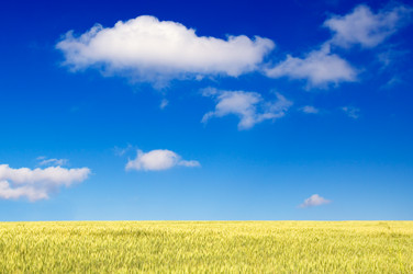 Similar image 2662471