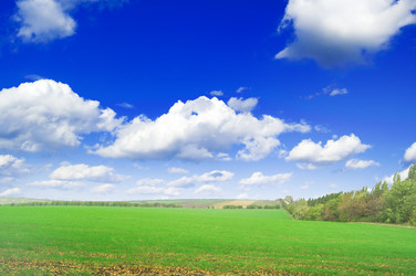 Similar image 2662606