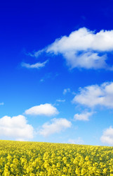 Similar image 2662611