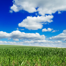 Similar image 2662618