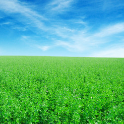 Similar image 2662638