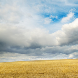 Similar image 2662641