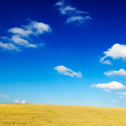 Similar image 2662691