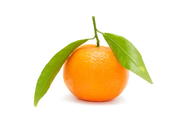 Similar image 2662707