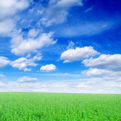 Similar image 2662711