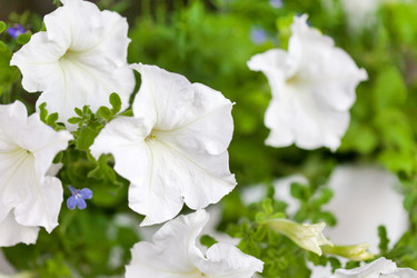 Similar image 2662808