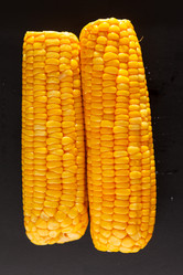 Similar image 2662850