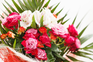 Similar image 2662859