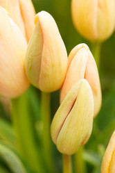 Similar image 2662860