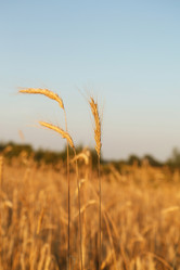 Similar image 2662869