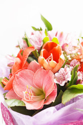 Similar image 2662870