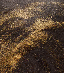 Similar image 2662906