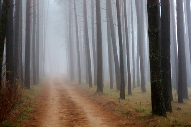 Similar image 2662909